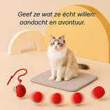 Maison Paw | Pulse Ball (KOOP 1 KRIJG 1 GRATIS)