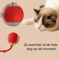 Maison Paw | Pulse Ball (KOOP 1 KRIJG 1 GRATIS)