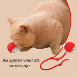 Maison Paw | Pulse Ball (KOOP 1 KRIJG 1 GRATIS)