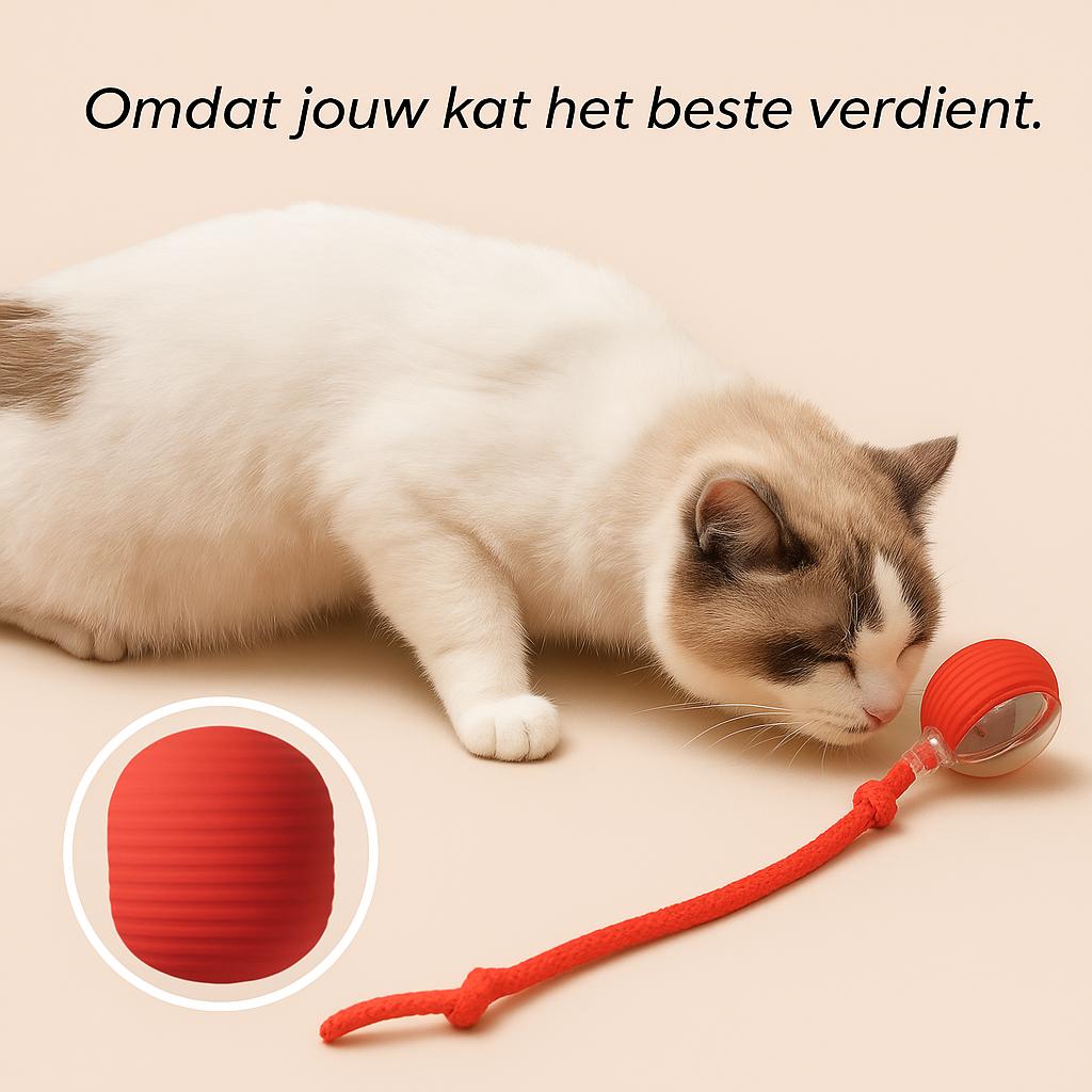 Maison Paw | Pulse Ball (KOOP 1 KRIJG 1 GRATIS)